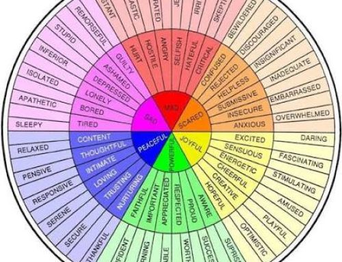 How the Feelings Wheel Improves Emotional Communication and Emotional Intelligence